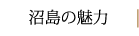 沼島の魅力